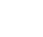 ICON-4